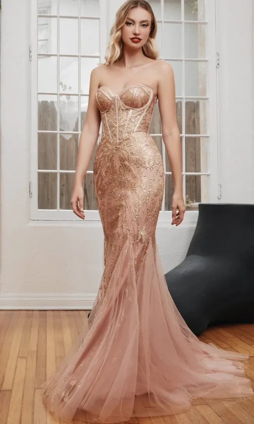 Ladivine Long Formal Dress CB116