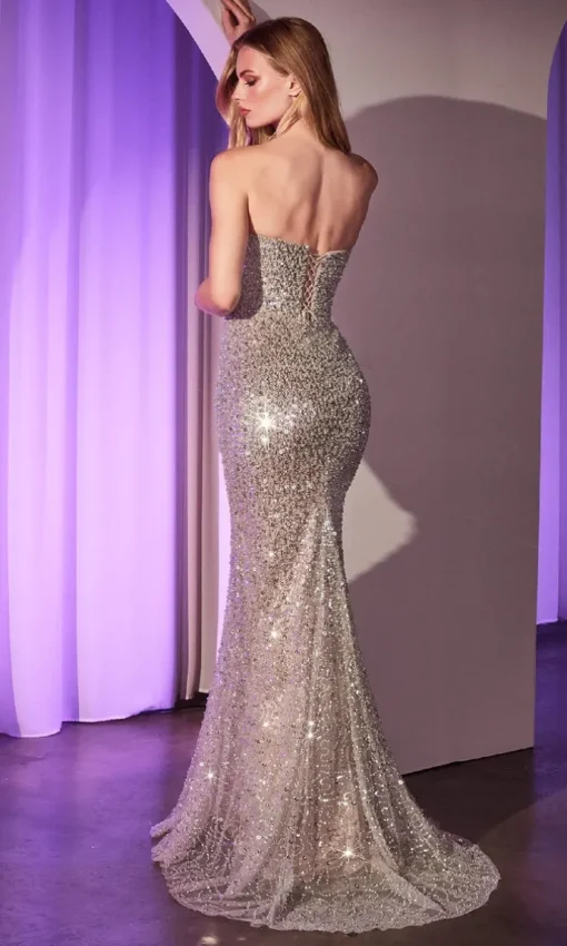 Ladivine Long Formal Dress CC385