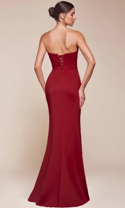 Ladivine Long Formal Dress CD355