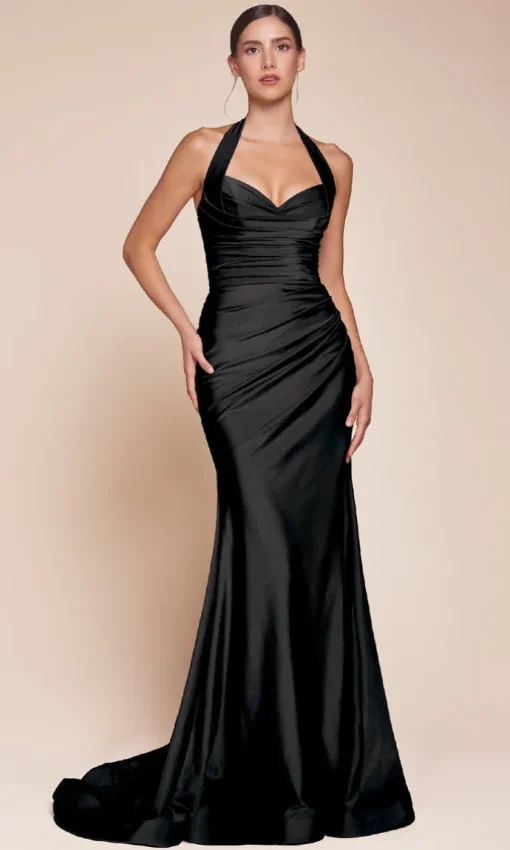 Ladivine Long Formal Dress CD796