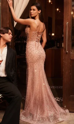 Ladivine Long Formal Dress CC8801