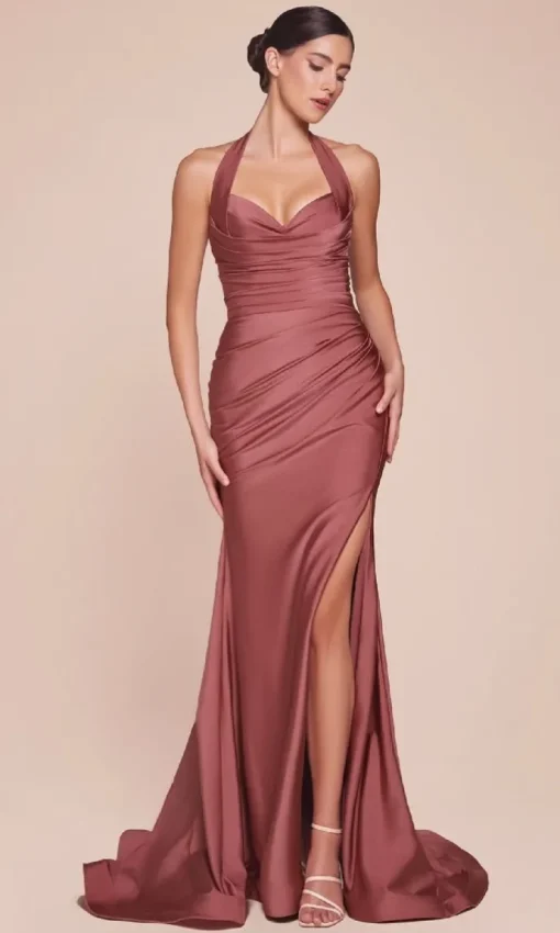 Ladivine Long Formal Dress CD796