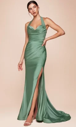Ladivine Long Formal Dress CD796
