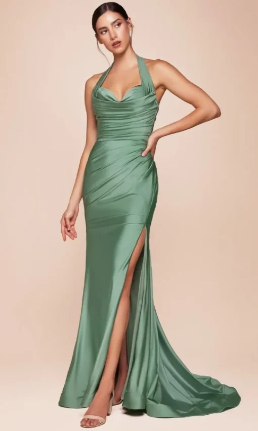 Ladivine Long Formal Dress CD796