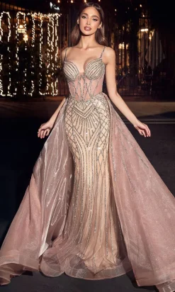 Ladivine Long Formal Dress CD863