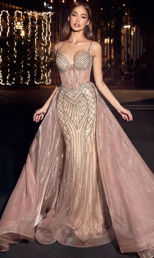 Ladivine Long Formal Dress CD863