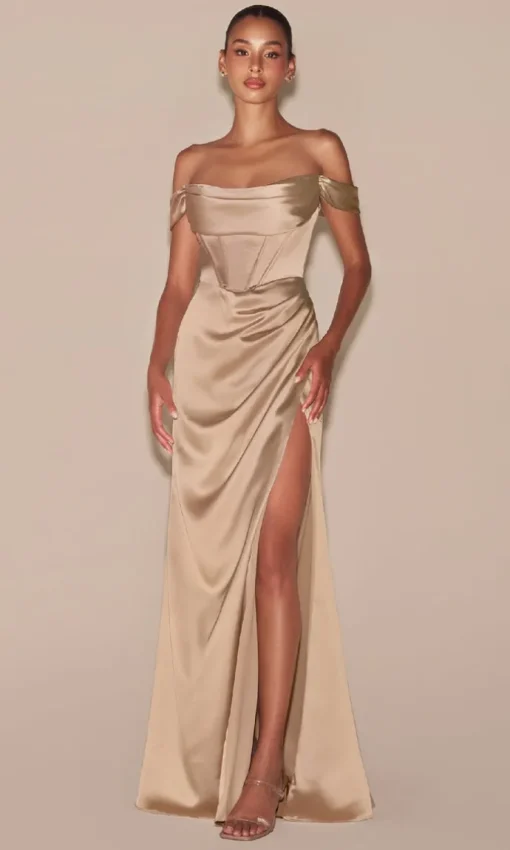 Ladivine Long Formal Dress 7492-1