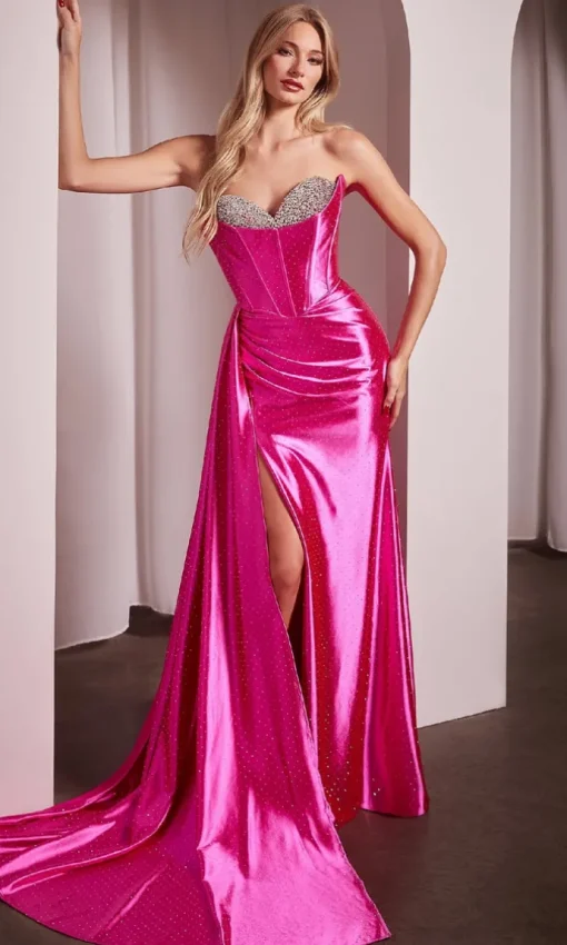 Ladivine Long Formal Dress CDS526