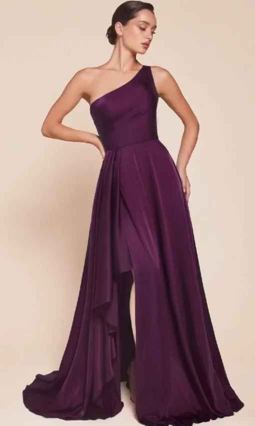 Ladivine Long Formal Dress 7450