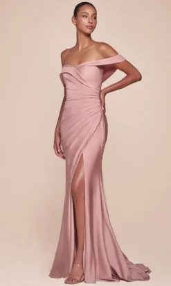 Ladivine Long Formal Dress CD790