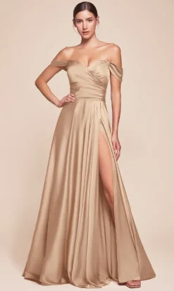 Ladivine Long Formal Dress 7493-1