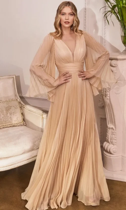 Ladivine Long Formal Dress cd242