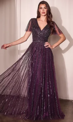 Ladivine Long Formal Dress CD0241