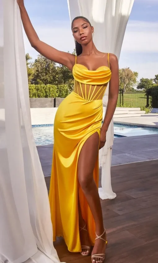 Ladivine Long Formal Dress CD265