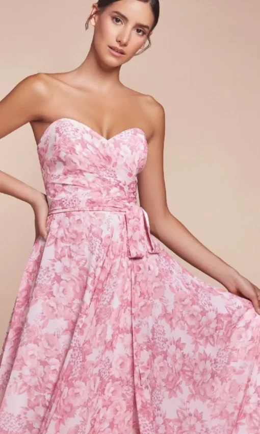 Ladivine Long Formal Dress 7443