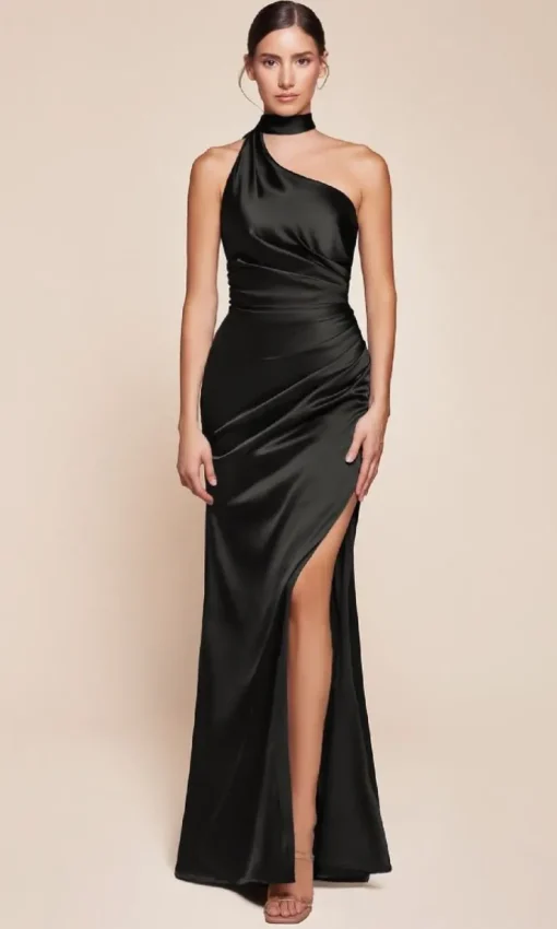 Ladivine Long Formal Dress 7454