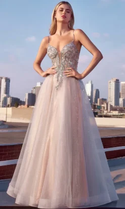 Ladivine Long Formal Dress CC0881