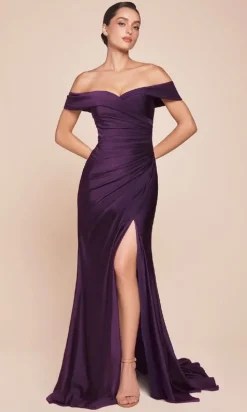 Ladivine Long Formal Dress CD790