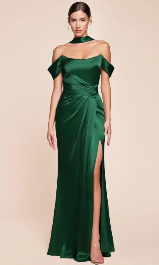 Ladivine Long Formal Dress 7452