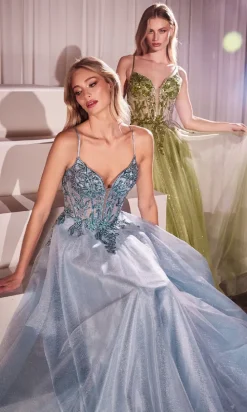 Ladivine Long Formal Dress CC0881