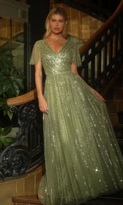 Ladivine Long Formal Dress CD0241