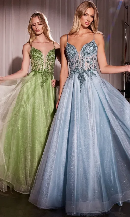 Ladivine Long Formal Dress CC0881