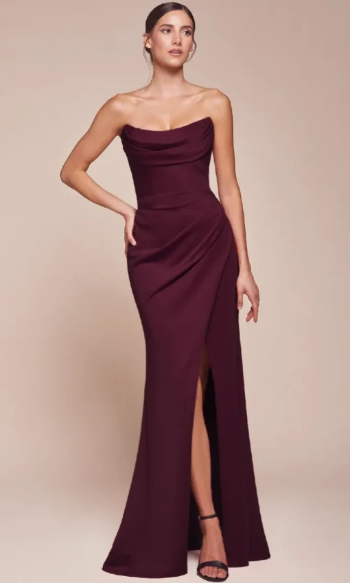 Ladivine Long Formal Dress CD355