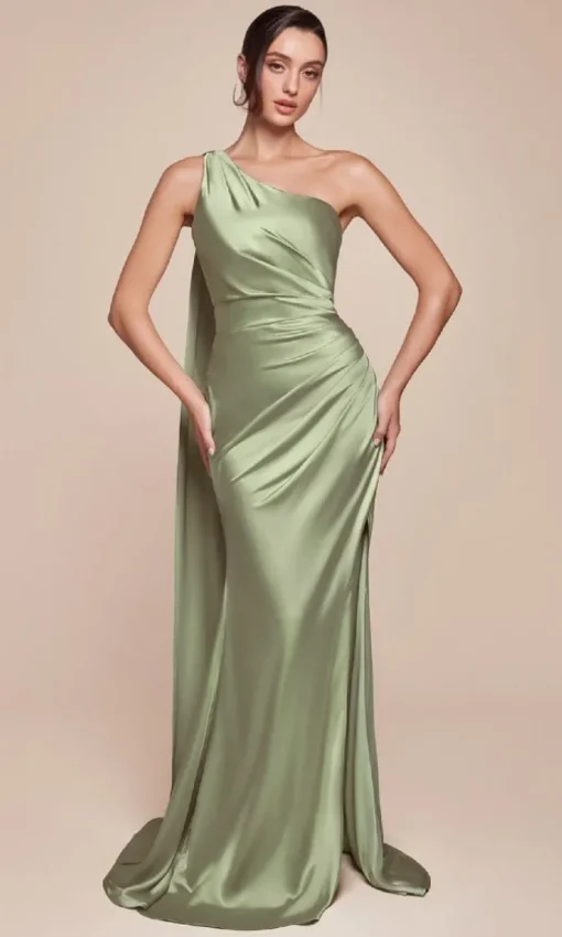 Ladivine Long Formal Dress 7454