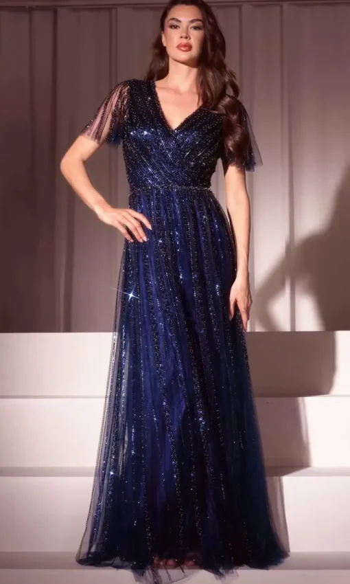 Ladivine Long Formal Dress CD0241