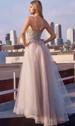 Ladivine Long Formal Dress CC0881