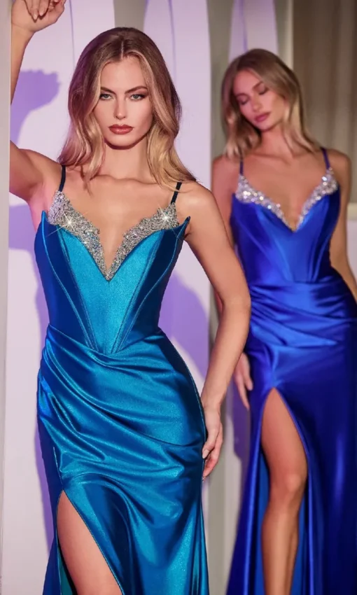Ladivine Long Formal Dress CDS528