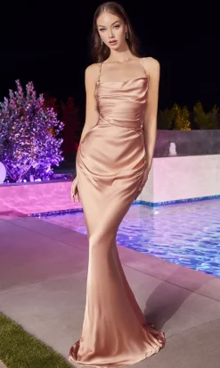 Ladivine Long Formal Dress BD7044