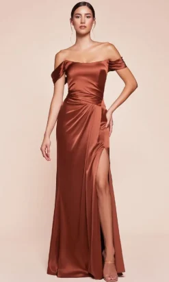 Ladivine Long Formal Dress 7452