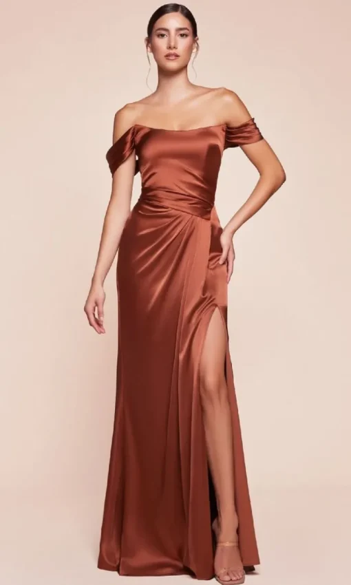 Ladivine Long Formal Dress 7452