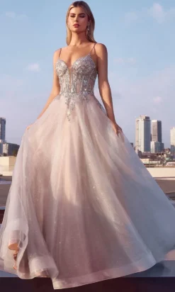 Ladivine Long Formal Dress CC0881