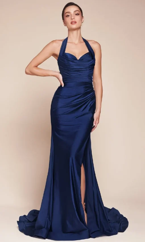 Ladivine Long Formal Dress CD796