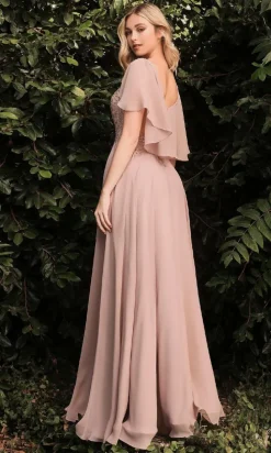 Ladivine Long Formal Dress HT101