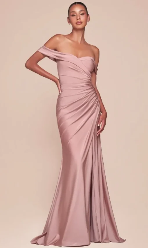 Ladivine Long Formal Dress CD790