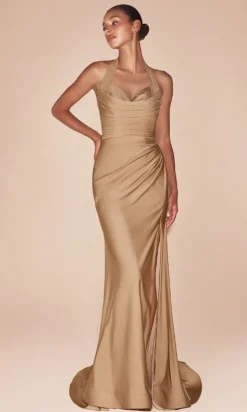 Ladivine Long Formal Dress CD796