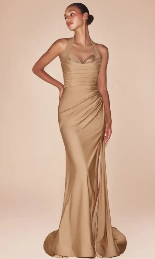 Ladivine Long Formal Dress CD796