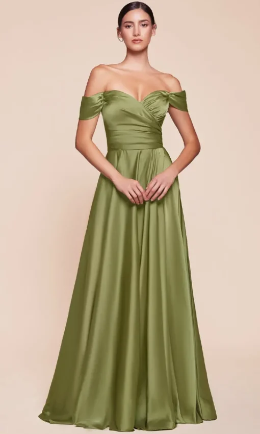 Ladivine Long Formal Dress 7493-1