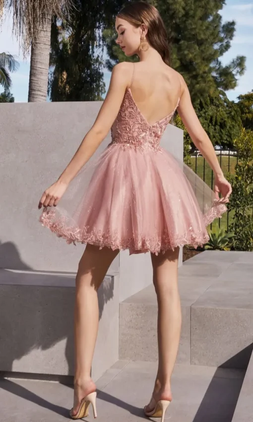 Ladivine Short Party Dress CD0213