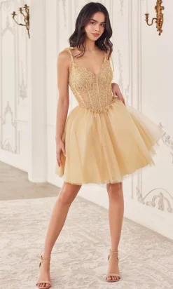 Ladivine Short Party Dress cd0236