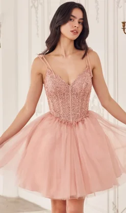 Ladivine Short Party Dress cd0236