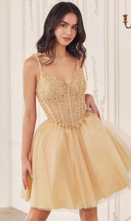 Ladivine Short Party Dress cd0236