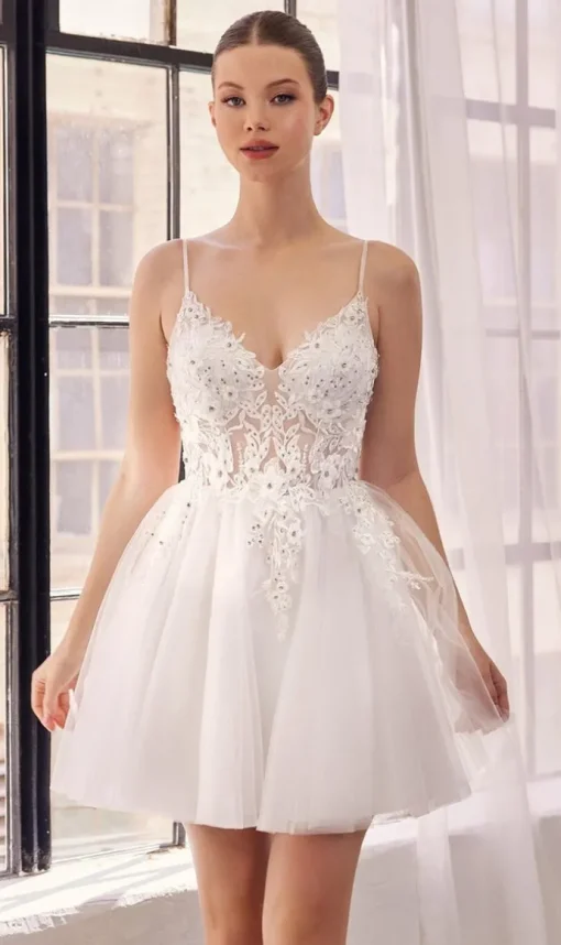 Ladivine Short Party Dress sf047