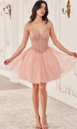 Ladivine Short Party Dress cd0236