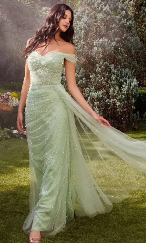 Long Formal Dress A1219 by Andrea & Leo