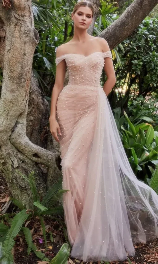 Long Formal Dress A1219 by Andrea & Leo
