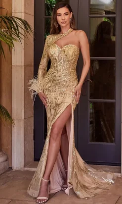 Long Formal Dress CB131 by Ladivine